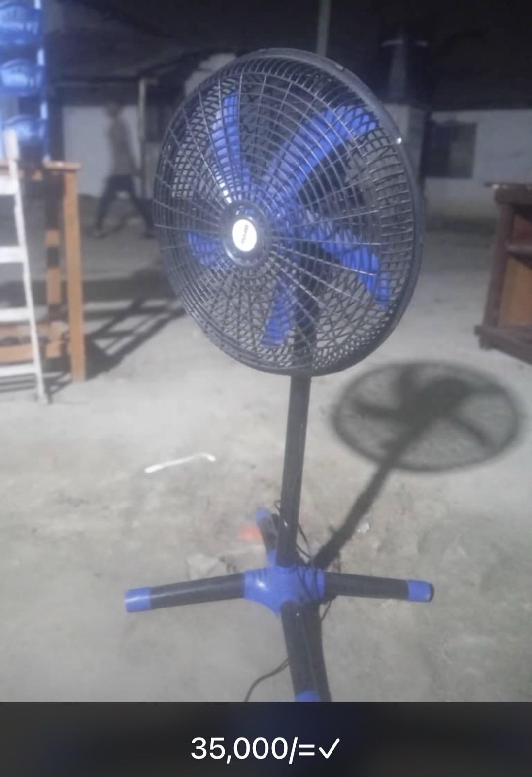 Feni